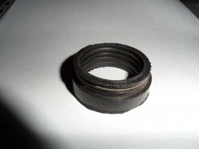 neznámé gufera.JPG